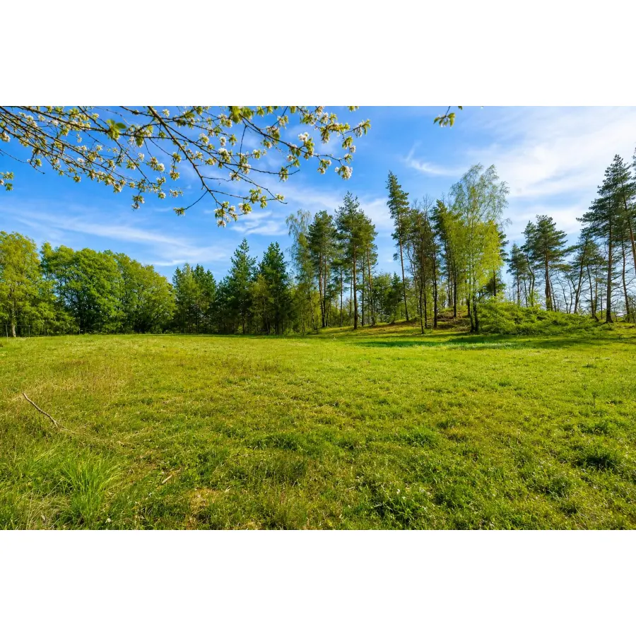 pomorskie, gdański, Przywidz, Kozia Góra, Działka 1700 m² | WZ na 2 Domy | Natura | Potencjał